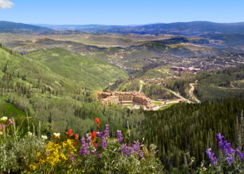 UpSwell premier sponsor