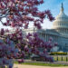 Congressional Physical Activity Challenge
